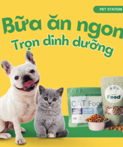 Boss ăn ngon